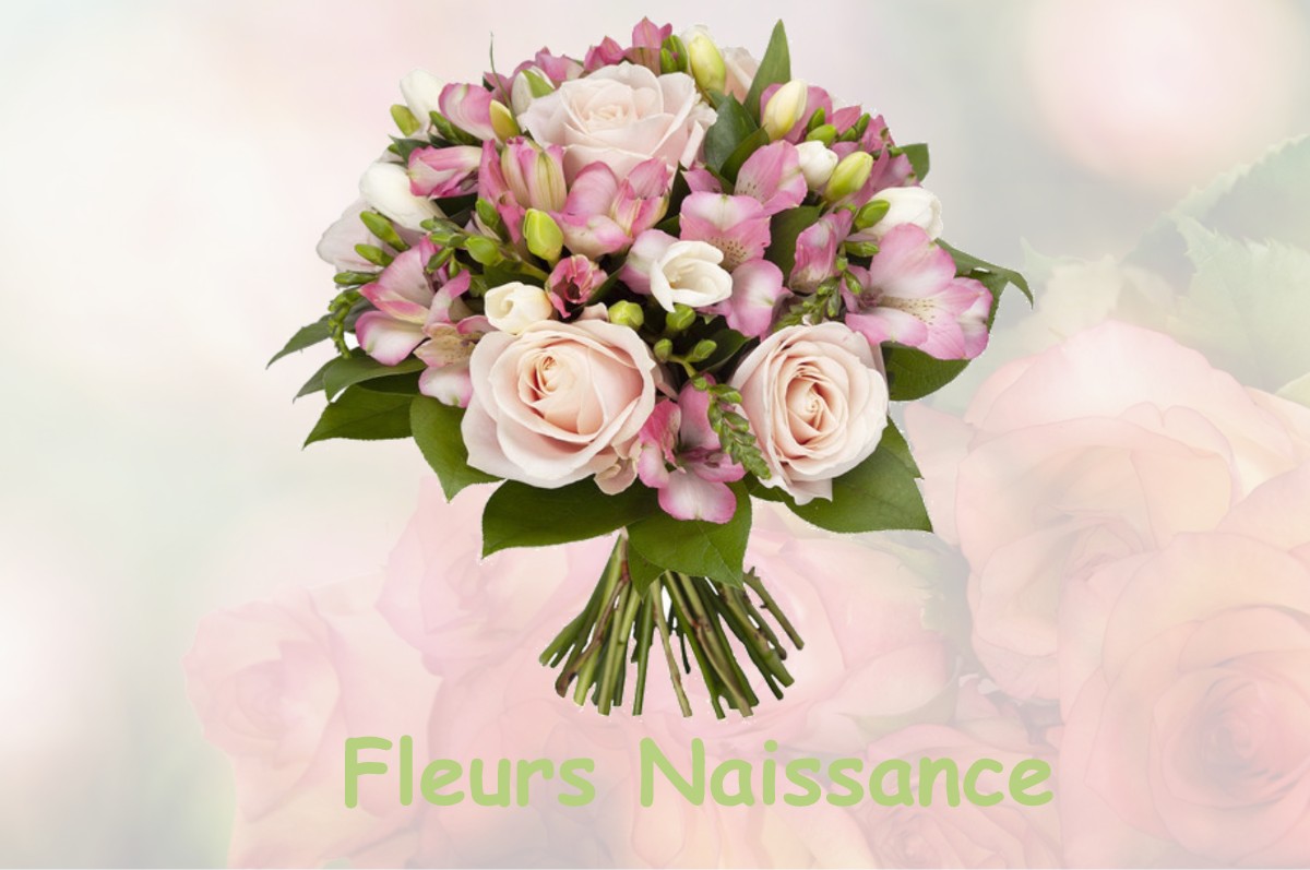 fleurs naissance SAINT-HILAIRE-LE-GRAND